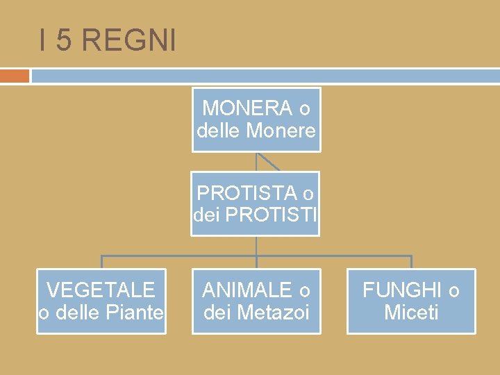 I 5 REGNI MONERA o delle Monere PROTISTA o dei PROTISTI VEGETALE o delle