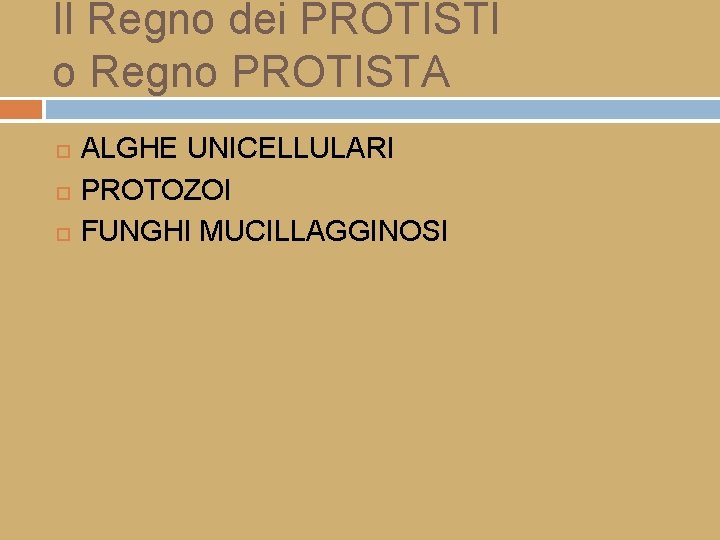 Il Regno dei PROTISTI o Regno PROTISTA ALGHE UNICELLULARI PROTOZOI FUNGHI MUCILLAGGINOSI 