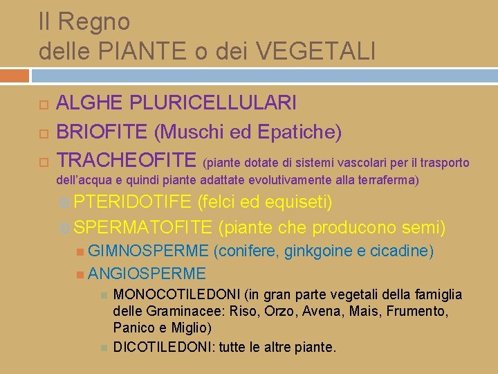 Il Regno delle PIANTE o dei VEGETALI ALGHE PLURICELLULARI BRIOFITE (Muschi ed Epatiche) TRACHEOFITE