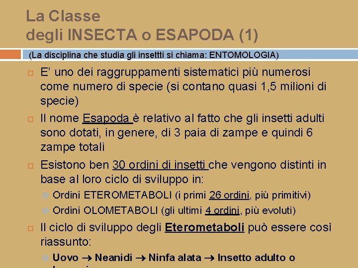 La Classe degli INSECTA o ESAPODA (1) (La disciplina che studia gli insettti si