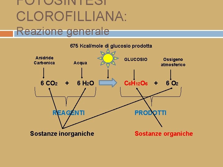 FOTOSINTESI CLOROFILLIANA: Reazione generale 675 Kcal/mole di glucosio prodotta Anidride Carbonica 6 CO 2