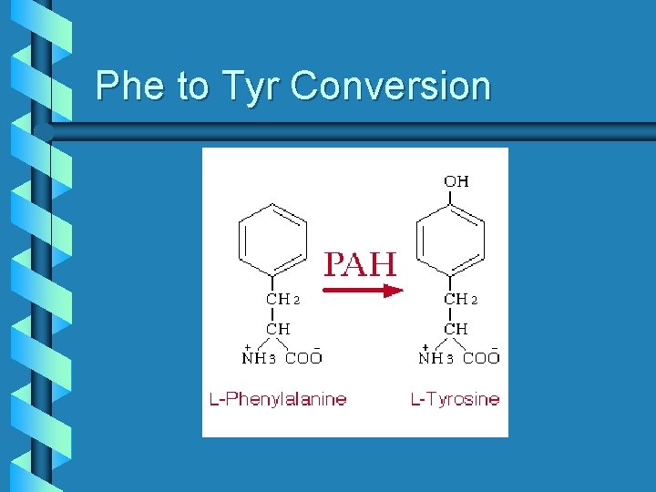 Phe to Tyr Conversion 