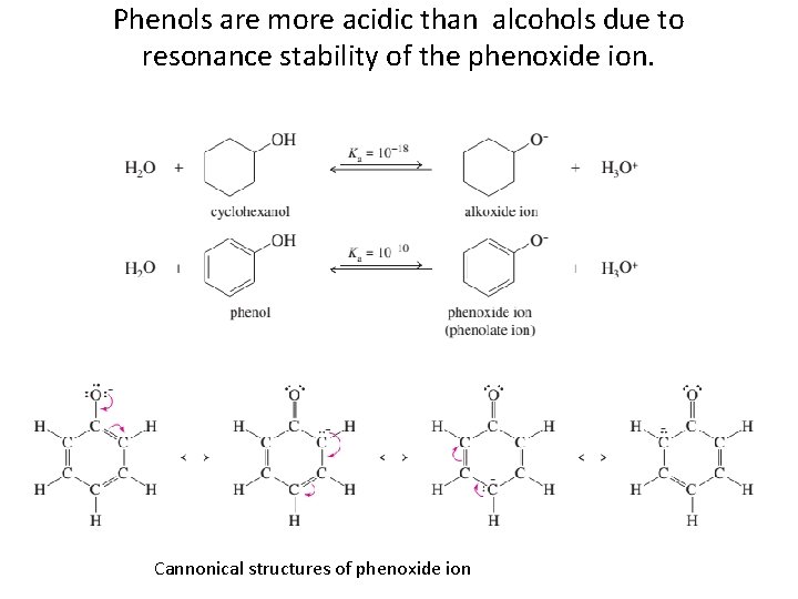 Phenols are more acidic than alcohols due to resonance stability of the phenoxide ion.