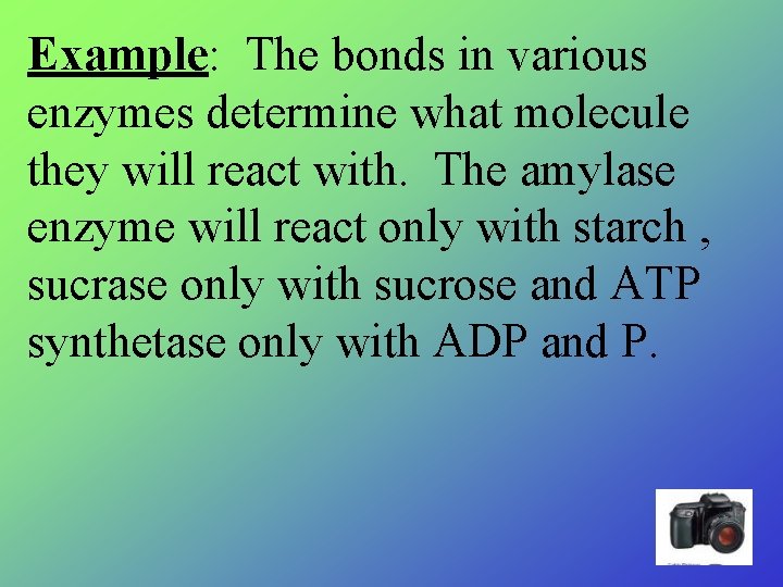 Example: The bonds in various enzymes determine what molecule they will react with. The Example: The bonds in various enzymes determine what molecule they will react with. The