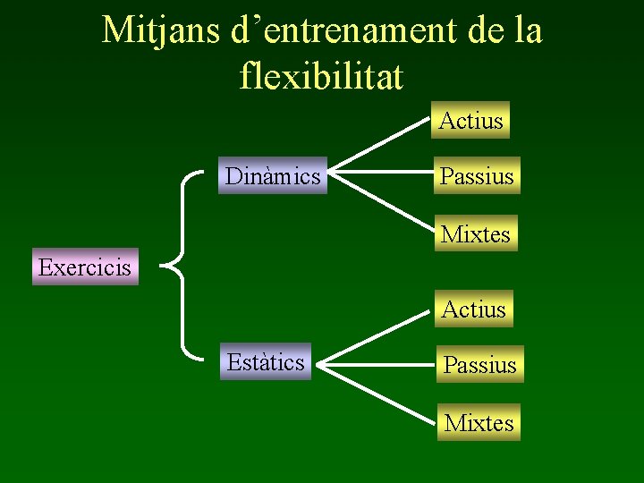 Mitjans d’entrenament de la flexibilitat Actius Dinàmics Passius Mixtes Exercicis Actius Estàtics Passius Mixtes