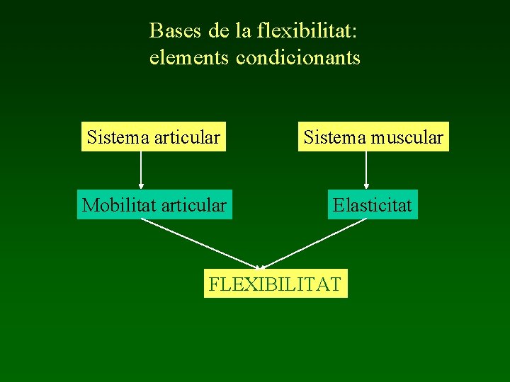 Bases de la flexibilitat: elements condicionants Sistema articular Sistema muscular Mobilitat articular Elasticitat FLEXIBILITAT