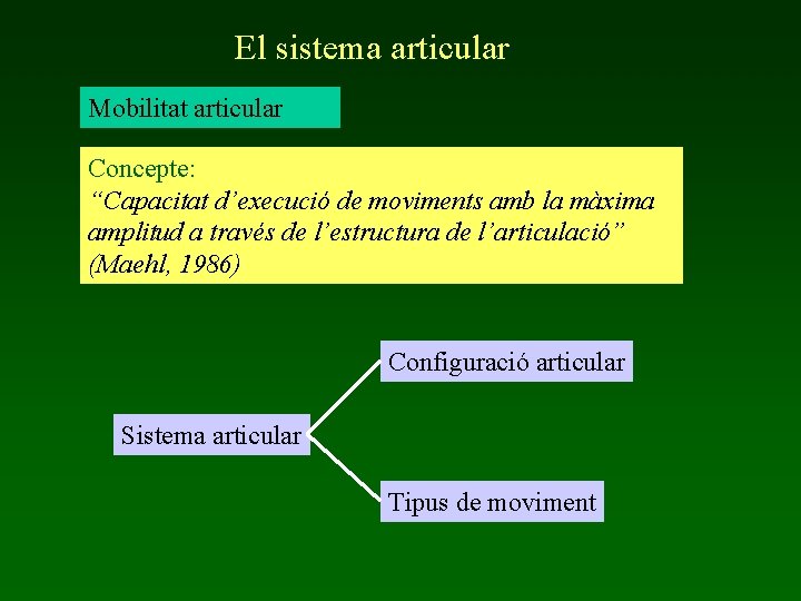 El sistema articular Mobilitat articular Concepte: “Capacitat d’execució de moviments amb la màxima amplitud