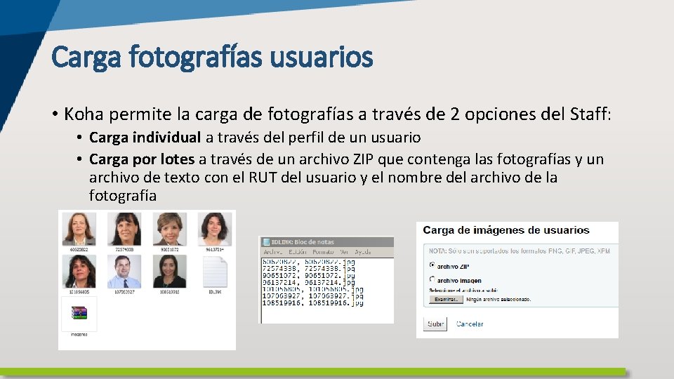 Carga fotografías usuarios • Koha permite la carga de fotografías a través de 2