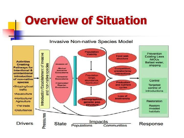 Overview of Situation 