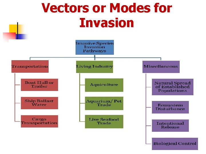 Vectors or Modes for Invasion 