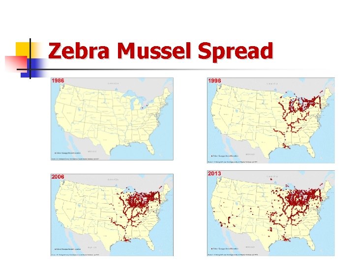 Zebra Mussel Spread 