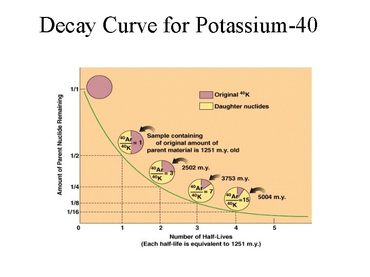 Decay Curve for Potassium-40 