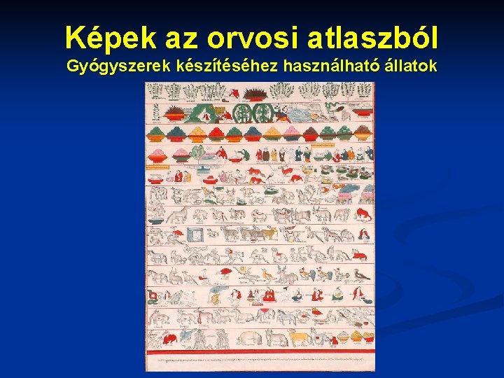 Képek az orvosi atlaszból Gyógyszerek készítéséhez használható állatok 