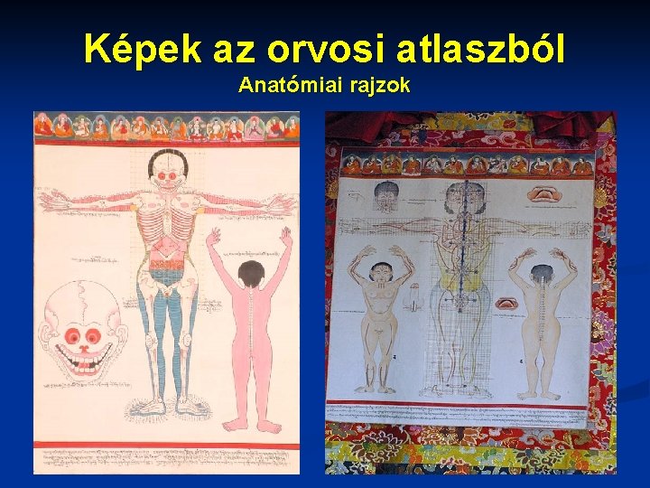 Képek az orvosi atlaszból Anatómiai rajzok 