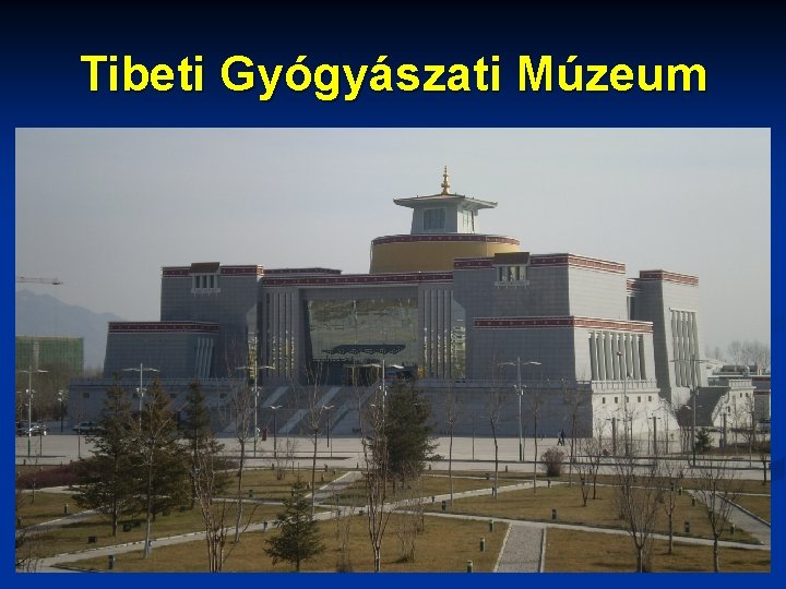 Tibeti Gyógyászati Múzeum 