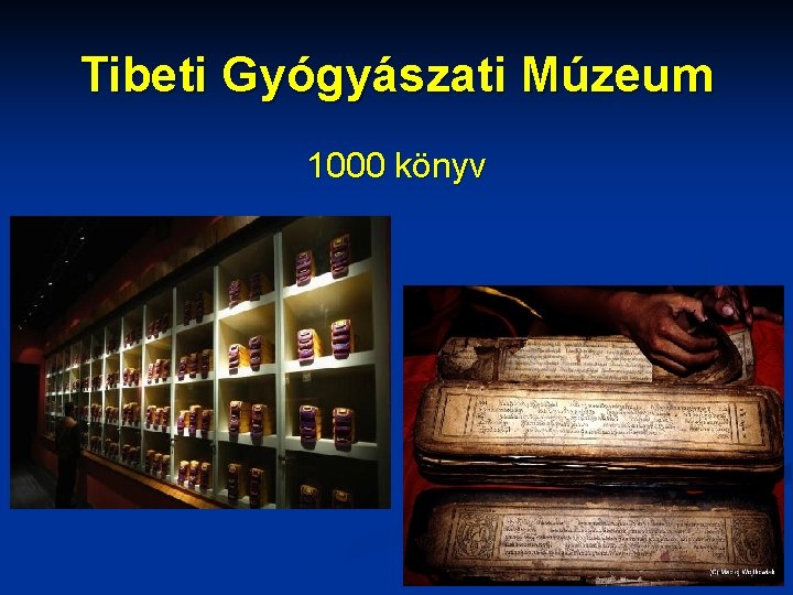 Tibeti Gyógyászati Múzeum 1000 könyv 