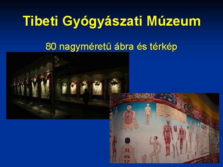 Tibeti Gyógyászati Múzeum 80 nagyméretű ábra és térkép 