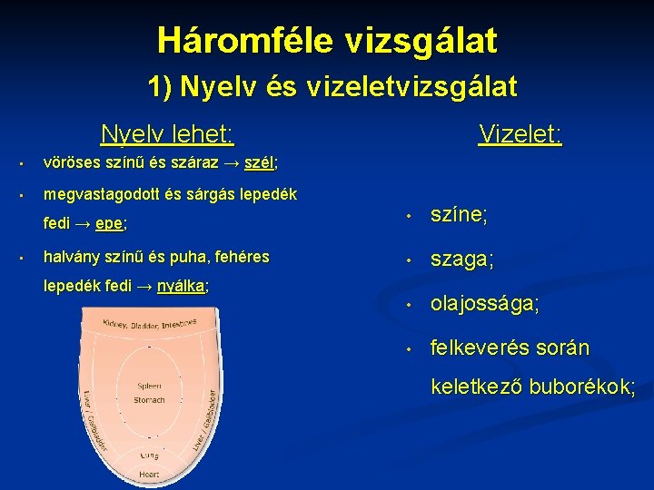 Háromféle vizsgálat 1) Nyelv és vizeletvizsgálat Nyelv lehet: • vöröses színű és száraz →