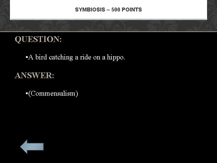 SYMBIOSIS – 500 POINTS QUESTION: • A bird catching a ride on a hippo.