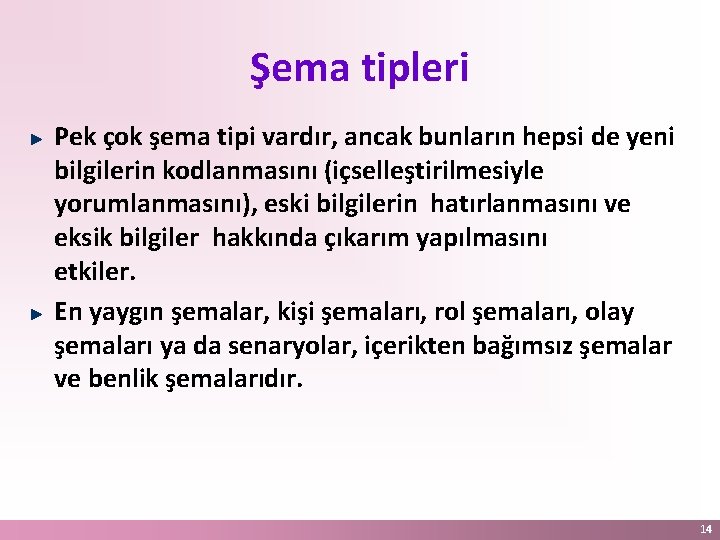 Şema tipleri Pek çok şema tipi vardır, ancak bunların hepsi de yeni bilgilerin kodlanmasını