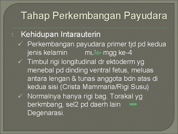 Tahap Perkembangan Payudara 1. Kehidupan Intarauterin ü Perkembangan payudara primer tjd pd kedua jenis