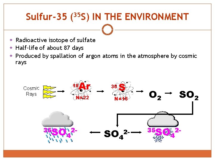 Sulfur-35 (35 S) IN THE ENVIRONMENT w Radioactive isotope of sulfate w Half-life of