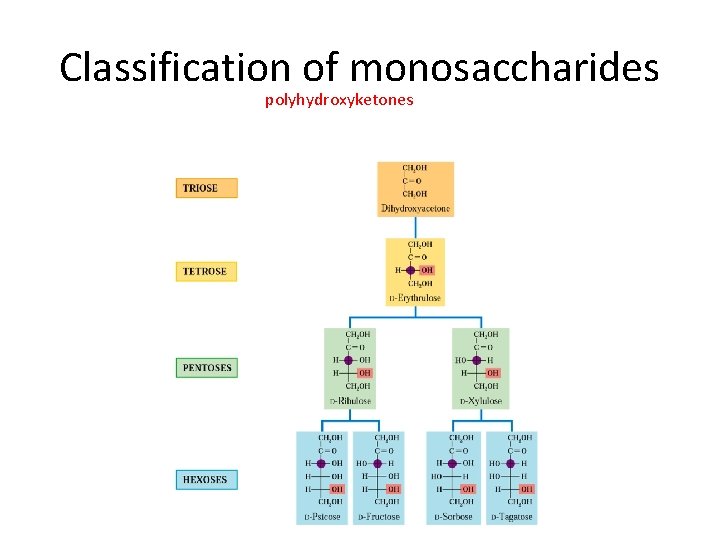 Classification of monosaccharides polyhydroxyketones 