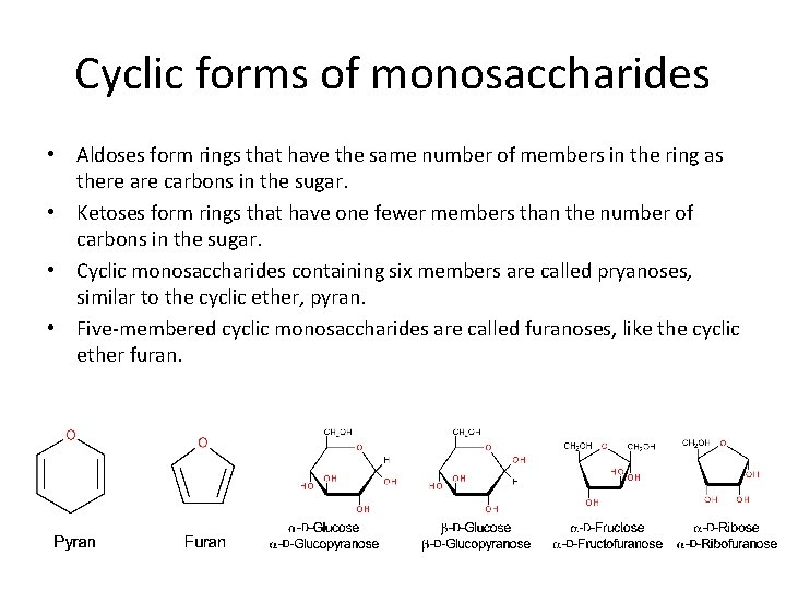 Cyclic forms of monosaccharides • Aldoses form rings that have the same number of