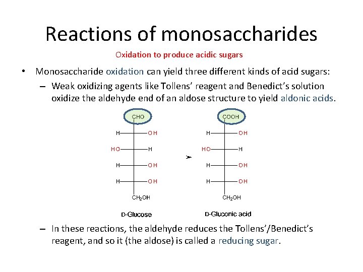 Reactions of monosaccharides Oxidation to produce acidic sugars • Monosaccharide oxidation can yield three