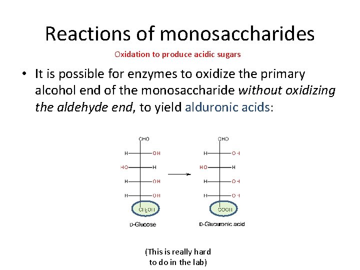 Reactions of monosaccharides Oxidation to produce acidic sugars • It is possible for enzymes