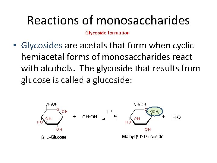 Reactions of monosaccharides Glycoside formation • Glycosides are acetals that form when cyclic hemiacetal