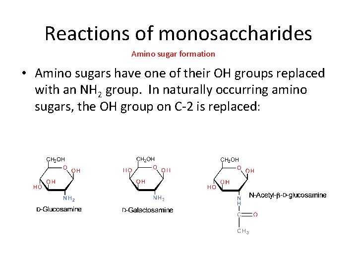 Reactions of monosaccharides Amino sugar formation • Amino sugars have one of their OH