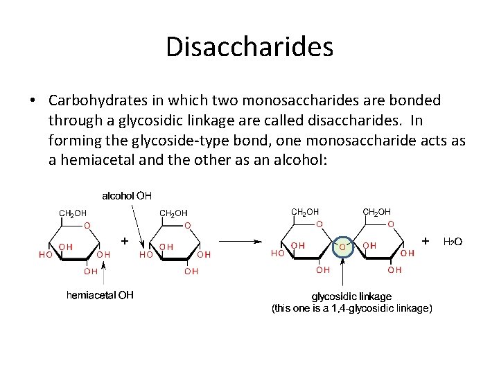 Disaccharides • Carbohydrates in which two monosaccharides are bonded through a glycosidic linkage are