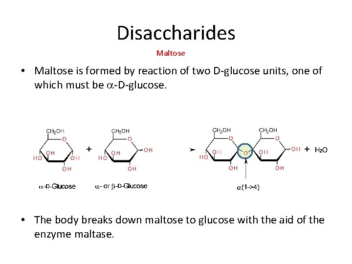 Disaccharides Maltose • Maltose is formed by reaction of two D-glucose units, one of