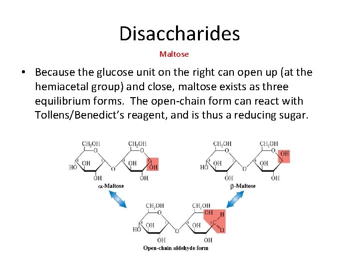 Disaccharides Maltose • Because the glucose unit on the right can open up (at