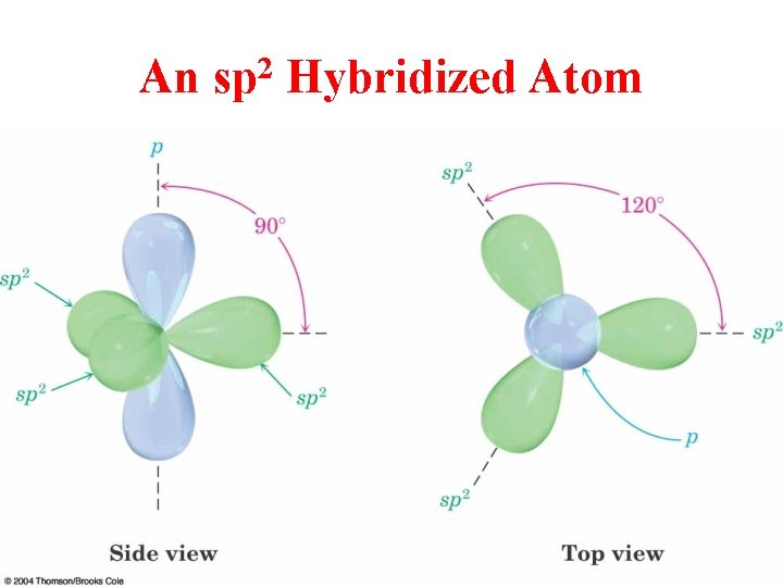 An 2 sp Hybridized Atom 