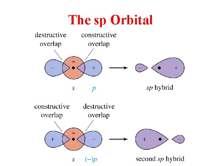 The sp Orbital 