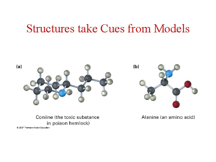 Structures take Cues from Models 