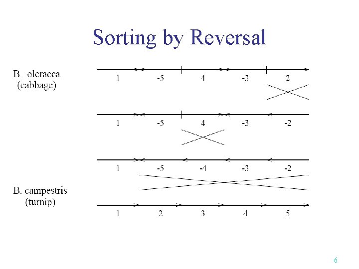 Sorting by Reversal 6 