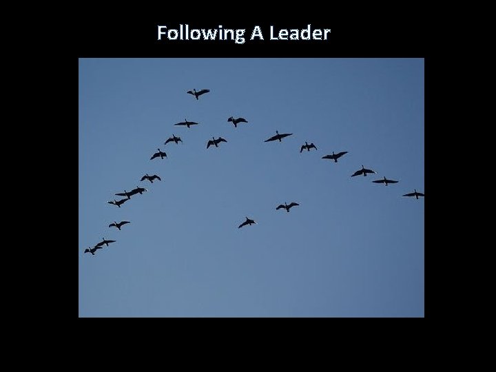 Following A Leader 