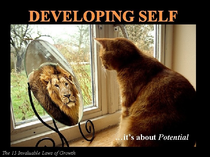 DEVELOPING SELF …it’s about Potential The 15 Invaluable Laws of Growth 