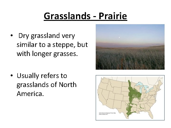 Grasslands - Prairie • Dry grassland very similar to a steppe, but with longer