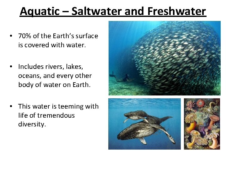 Aquatic – Saltwater and Freshwater • 70% of the Earth’s surface is covered with