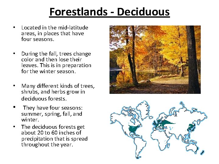 Forestlands - Deciduous • Located in the mid-latitude areas, in places that have four