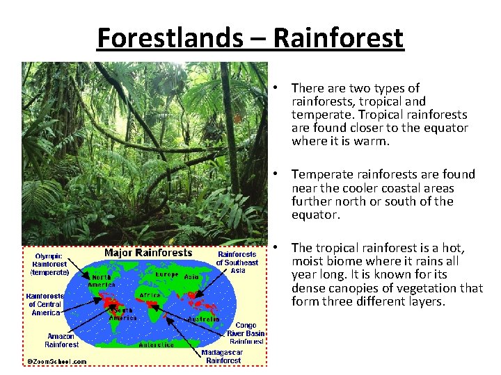 Forestlands – Rainforest • There are two types of rainforests, tropical and temperate. Tropical