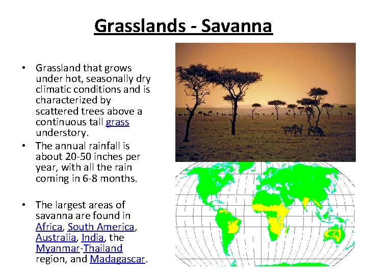 Grasslands - Savanna • Grassland that grows under hot, seasonally dry climatic conditions and