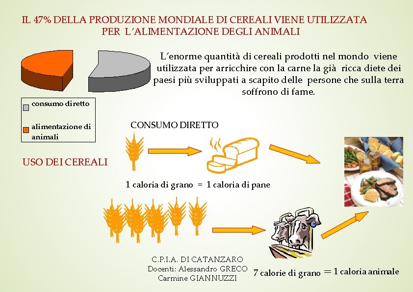 IL 47% DELLA PRODUZIONE MONDIALE DI CEREALI VIENE UTILIZZATA PER L’ALIMENTAZIONE DEGLI ANIMALI L’enorme