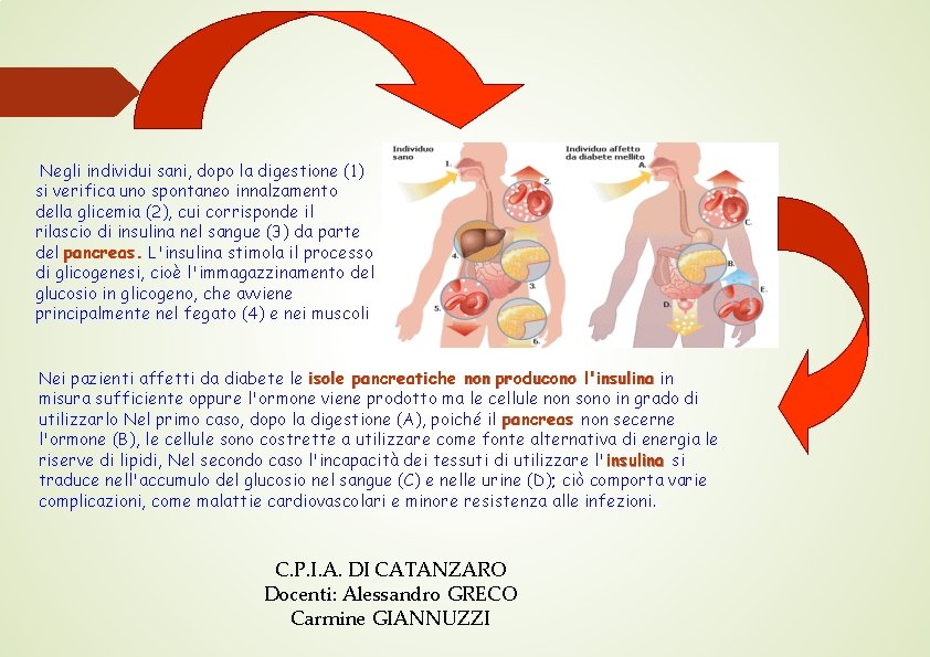 Negli individui sani, dopo la digestione (1) si verifica uno spontaneo innalzamento della glicemia