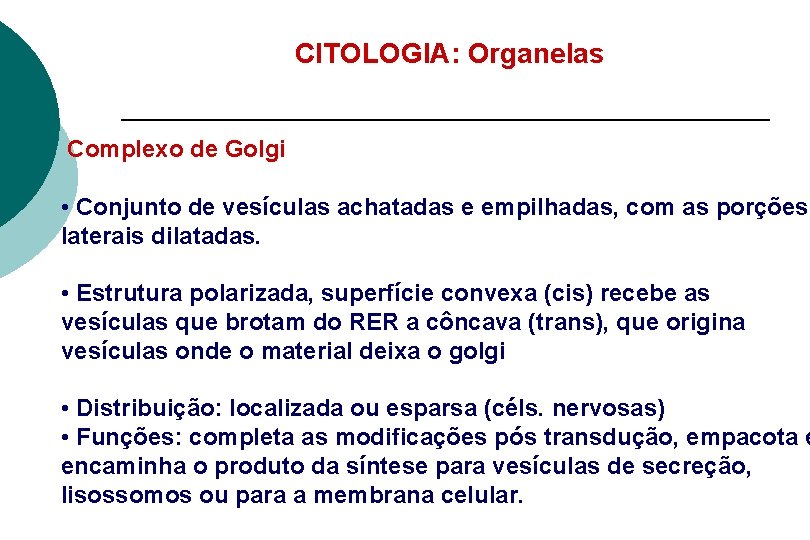CITOLOGIA: Organelas Complexo de Golgi • Conjunto de vesículas achatadas e empilhadas, com as