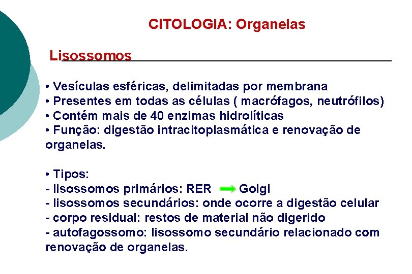 CITOLOGIA: Organelas Lisossomos • Vesículas esféricas, delimitadas por membrana • Presentes em todas as